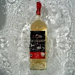 シャトー リシュリュー Fronsac