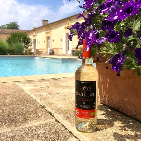 住宿加早餐酒店 黎塞留城堡酒店