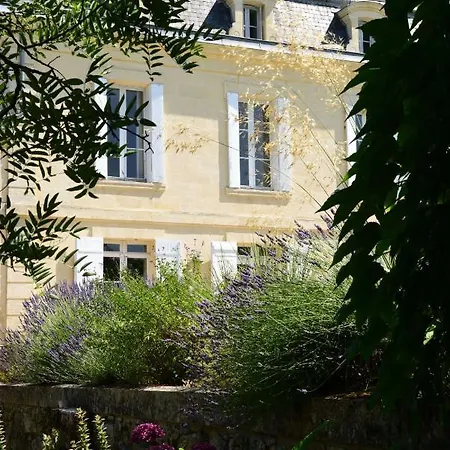 黎塞留城堡酒店 Fronsac (Gironde)