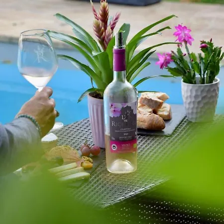 黎塞留城堡酒店 3*