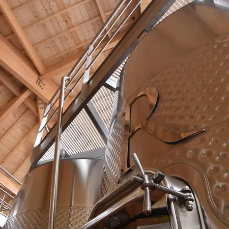 黎塞留城堡酒店 3* Fronsac (Gironde)