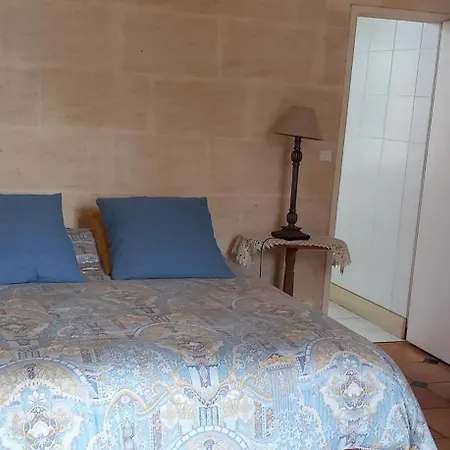 黎塞留城堡酒店 住宿加早餐酒店