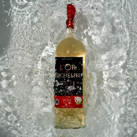 黎塞留城堡酒店 Fronsac (Gironde)