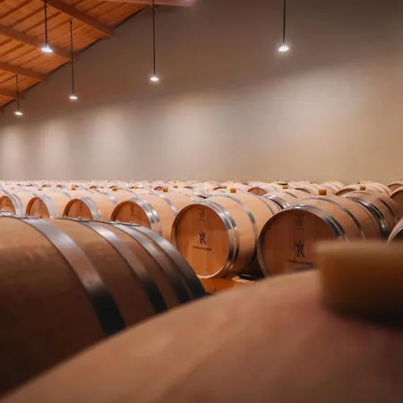 黎塞留城堡酒店 住宿加早餐酒店