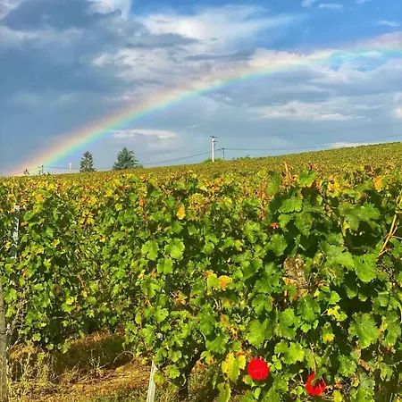 Chateau Richelieu فندق مبيت وإفطار Fronsac (Gironde)