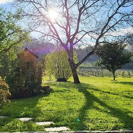 فندق مبيت وإفطار Chateau Richelieu Fronsac (Gironde)