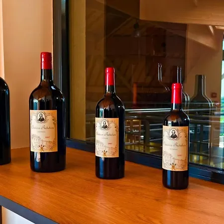 Chateau Richelieu 3*