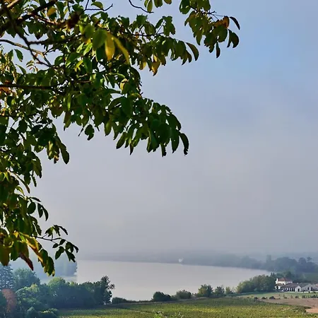 住宿加早餐酒店 黎塞留城堡酒店 3*