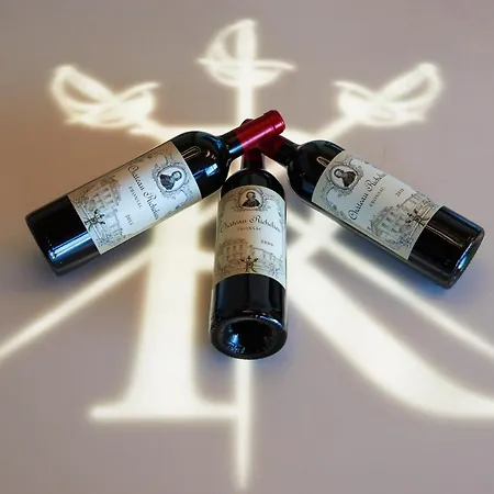 黎塞留城堡酒店 住宿加早餐酒店