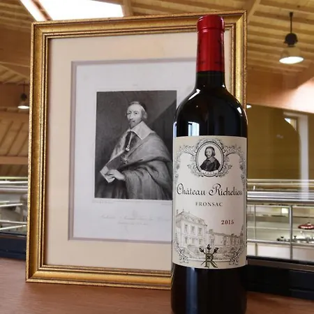 住宿加早餐酒店 黎塞留城堡酒店 Fronsac (Gironde)