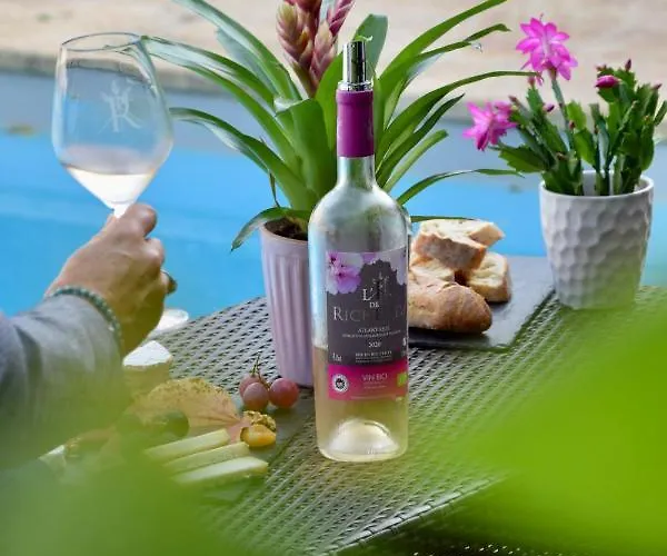 Chateau Richelieu 3*