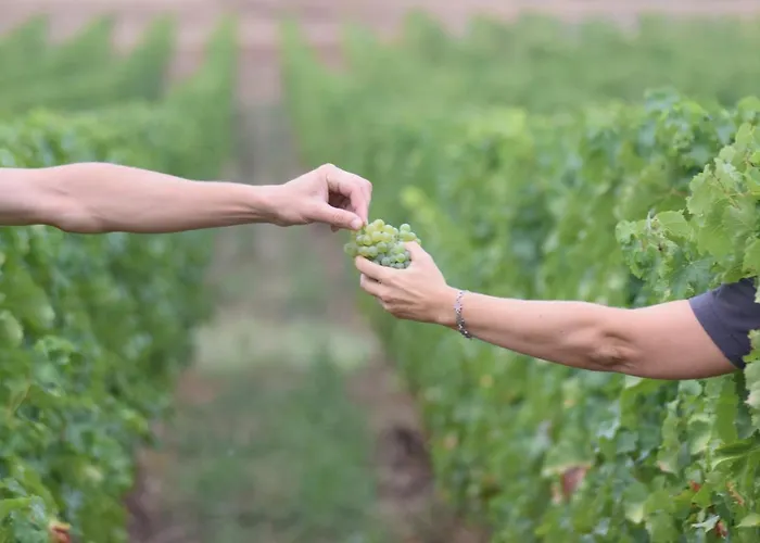 Chateau Richelieu B&B