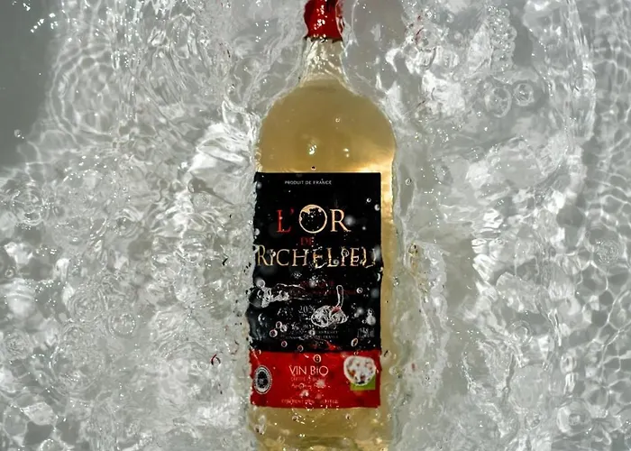 Chateau Richelieu Fronsac (Gironde)