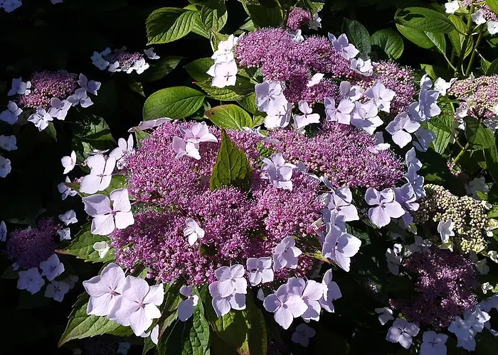 B&B Chateau Richelieu