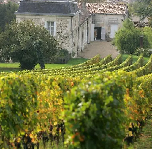 Chateau Richelieu B&B 3*